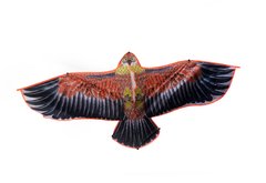 Фотография, изображение Воздушный змей "Орел" (F1065)