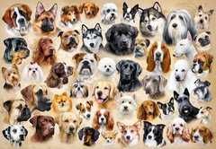 Фотография, изображение Пазл "Коллаж с собаками" Castorland, 1500 шт (C-151943)