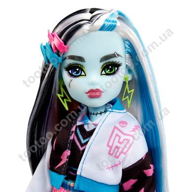 Фотография, изображение Кукла Фрэнки "Монстро-классика" Monster High (HHK53)