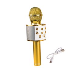Світлина, зображення Іграшка QUNXING Мікрофон золотий (WS-858-2)