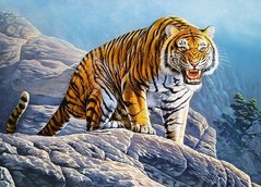 Фотография, изображение Пазл для детей "Тигр на скалах" Castorland (B-018451)