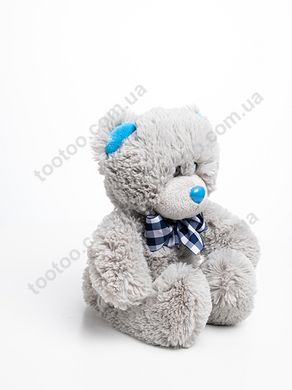 Фотография, изображение Мягкая игрушка медведь Сержик Fancy