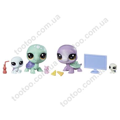 Фотография, изображение Игровой набор Hasbro Littlest Pet Shop семья черепах (B9346_E1013)