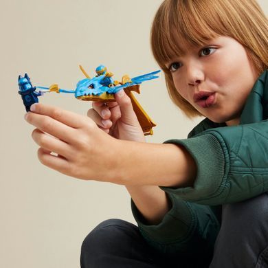 Конструктор LEGO NINJAGO Атака воставшего дракона Нии (71802)