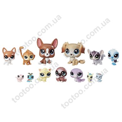 Фотография, изображение Игровой набор Hasbro Littlest Pet Shop коллекция петов Друзья Шалуны (B9343_E1011)