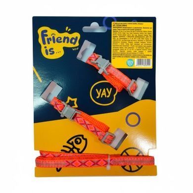 Набір для прогулянки з кішкою - шлейка, повідець (FG250410004D)