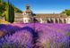 Пазл "Лавандовое поле в Провансе, Франция" Castorland, 1000 шт (C-104284), фотография