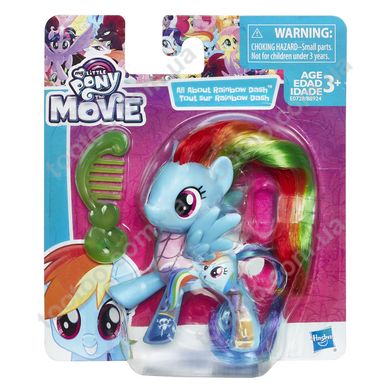 Фотография, изображение Игровой набор Hasbro My Little Pony пони-подружки Рейнбоу Деш с аксессуаром (B8924_E0728)