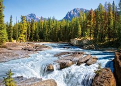 Фотография, изображение Пазл "Река Атабаска, Национальный парк, Канада" Castorland, 1500 шт (C-150762)