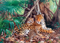 Фотография, изображение Пазл "Ягуары в джунглях" Castorland, 3000 шт (C-300280)