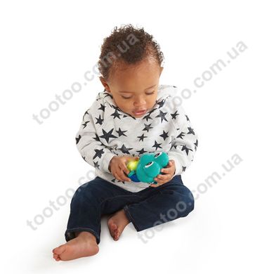 Фотография, изображение Игрушка на автокресло Baby Einstein "Neptune" (11957)