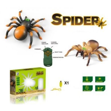 Світлина, зображення Павук Тарантул на радіокеруванні, чорний - Maya Toys (8901)