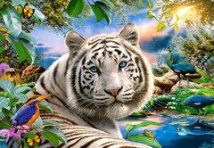 Фотография, изображение Пазл "Тигр" Castorland, 1500 шт (C-151318)