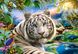 Пазл "Тигр" Castorland, 1500 шт (C-151318), фотография