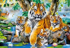 Фотография, изображение Пазл "Тигры у ручья" Castorland, 1000 шт (C-104413)
