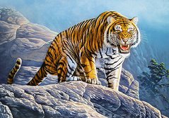 Світлина, зображення Пазл для дітей "Тигр на скелях" Castorland (B-53346)