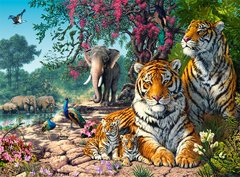 Фотография, изображение Пазл "Тигровый заповедник" Castorland, 3000 шт (C-300600)