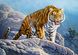 Пазл для детей "Тигр на скалах" Castorland (B-53346), фотография