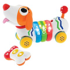Фотография, изображение Игрушка на радиоуправлении Chicco "Dog Remi" (09336.00)