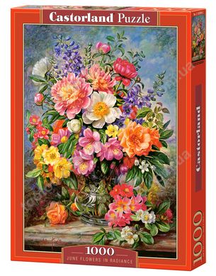 Фотография, изображение Пазл "Цветы" Castorland, 1000 шт (C-103904)