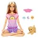 Кукла Barbie "Медитация днем и ночью" (HHX64), фотография