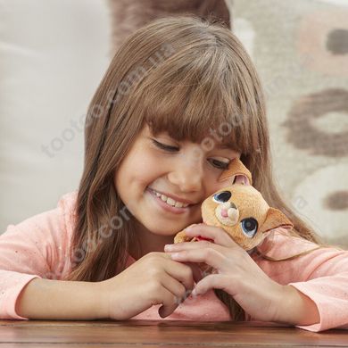 Світлина, зображення Інтерактивна іграшка Hasbro Furreal Friends маленький вихованець на повідку Щеня (E3503_E4775)