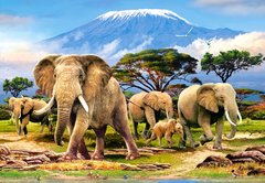 Фотография, изображение Пазл "Слоны у подножия Килиманджаро" Castorland, 1000 шт (C-103188)