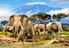 Пазл "Слоны у подножия Килиманджаро" Castorland, 1000 шт (C-103188), фотография