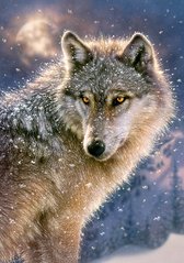 Фотография, изображение Пазл для детей "Одинокий волк" Castorland (B-52431)