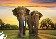 Світлина, зображення Пазл 1000 елементів «Африканські слони» (TRFL_SAF/2)