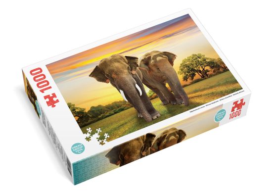 Фотография, изображение Пазл 1000 элементов "Африканские слоны" (TRFL_SAF/2)