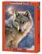 Пазл для детей "Одинокий волк" Castorland (B-52431), фотография