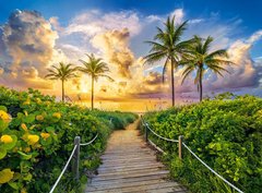 Фотография, изображение Пазл Castorland, C-300617, Цветной восход солнца в Майами, США, 3000 деталей C-300617