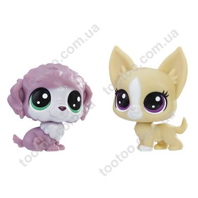 Фотография, изображение Игровой набор Hasbro Littlest Pet Shop два пета собачки серия (B9389_E0945)