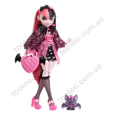 Фотография, изображение Кукла Дракулора "Монстро-классика" Monster High (HHK51)