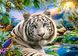 Пазл для детей "Белый тигр" Castorland (B-018192), фотография