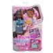 Кукла Barbie Dream Besties Бруклин (HYC22), фотография