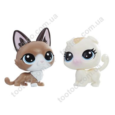 Фотография, изображение Игровой набор Hasbro Littlest Pet Shop два пета котята серия (B9389_E0946)