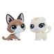 Игровой набор Hasbro Littlest Pet Shop два пета котята серия (B9389_E0946), фотография
