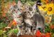 Пазл "Друзья котенок" Castorland, 1500 шт (C-151899), фотография