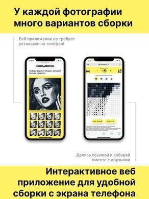 Фотоконструктор Мозабрик Mozabrick, S (60001)