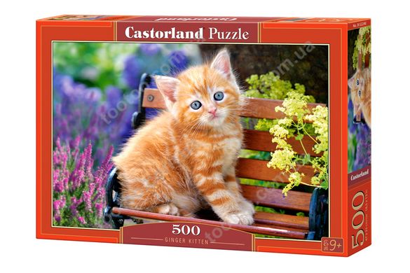 Фотография, изображение Пазл для детей "Рыжий котенок" Castorland (B-52240)