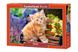 Пазл для детей "Рыжий котенок" Castorland (B-52240), фотография